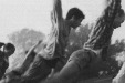 Dancing under a big sky: a conversation with Annette Carmichael & Lee Pemberton