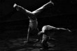 Brain, dance and culture 2: evolutionary characteristics in the collaborative choreographic process