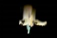 Towards an understanding of liminal imagery in the digital domain
