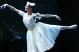 Ballet master for the Royal New Zealand Ballet
