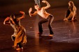 Study dance at university