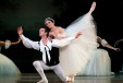 The classical pas de deux a descendance of the ‘classical’ suite?