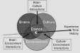 Brain, dance and culture: choreographer, dancing scientist and interdisciplinary collaboration