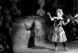 The two Cups of 1962: the dancing horses of The Australian Ballet and the National Theatre
