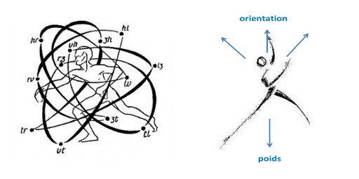 spatial dynamics drawing and 'orientation, poids'