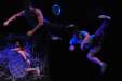 Perceiving dance bowing to the ineffable
